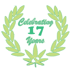 logo-big-trans2